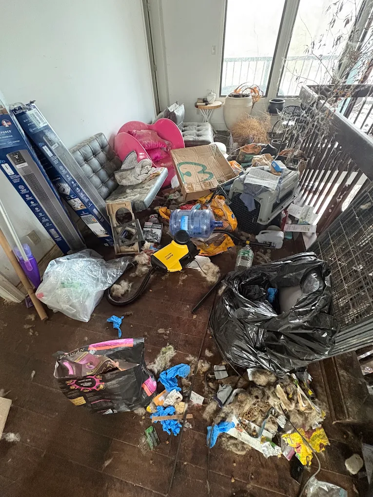 Severely soiled room with scattered debris, pet mess and a crate before a Baten deep cleanout